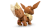72151_WEB_SEC05_NOBG.png